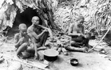 A Mbuti camp, 1953